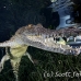 crocodile_american_chiq_jar_h_0552_cub2709.jpg